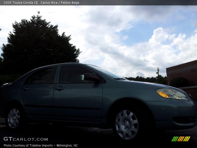 Cactus Mica / Pebble Beige 2005 Toyota Corolla CE