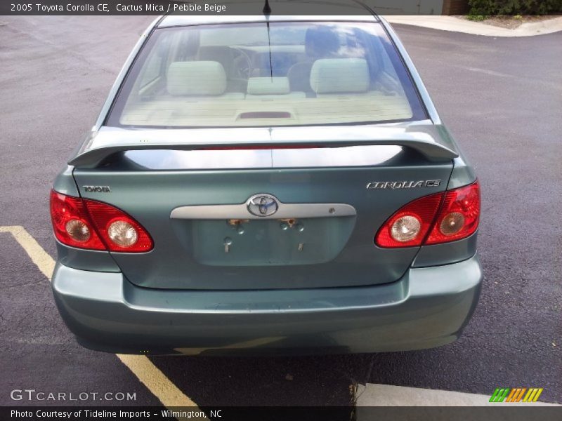Cactus Mica / Pebble Beige 2005 Toyota Corolla CE