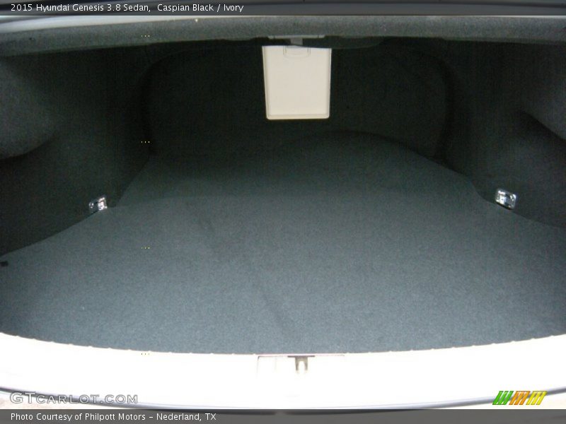 Caspian Black / Ivory 2015 Hyundai Genesis 3.8 Sedan