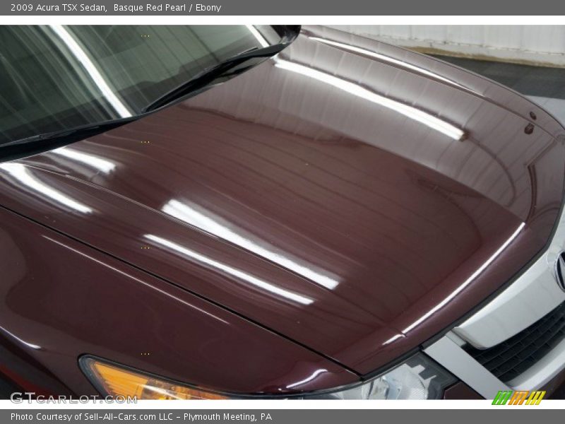 Basque Red Pearl / Ebony 2009 Acura TSX Sedan
