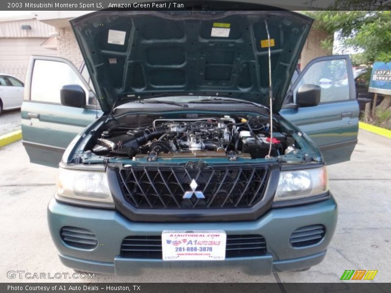Amazon Green Pearl / Tan 2003 Mitsubishi Montero Sport LS