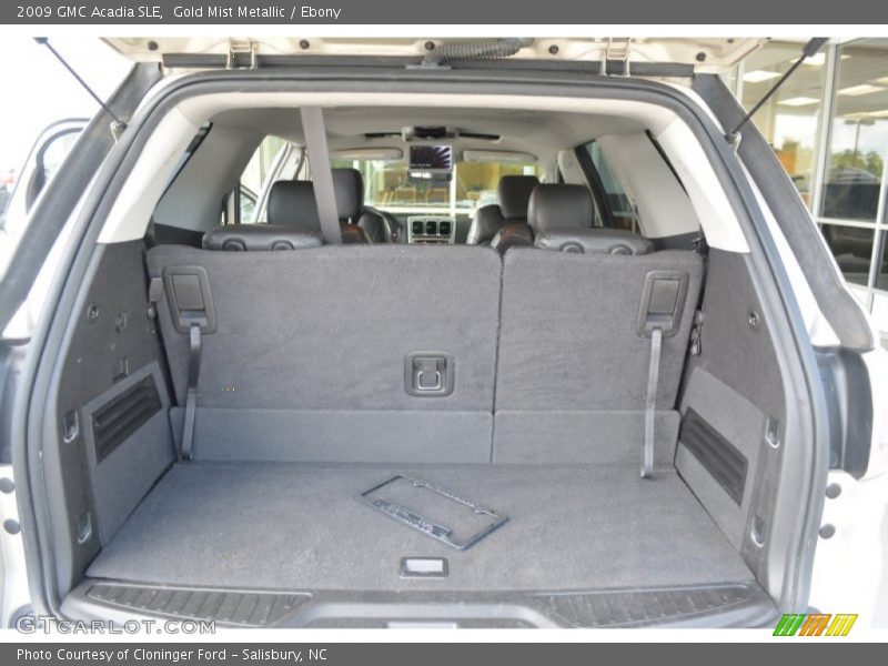 Gold Mist Metallic / Ebony 2009 GMC Acadia SLE