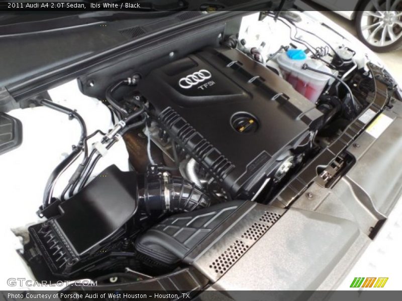 Ibis White / Black 2011 Audi A4 2.0T Sedan