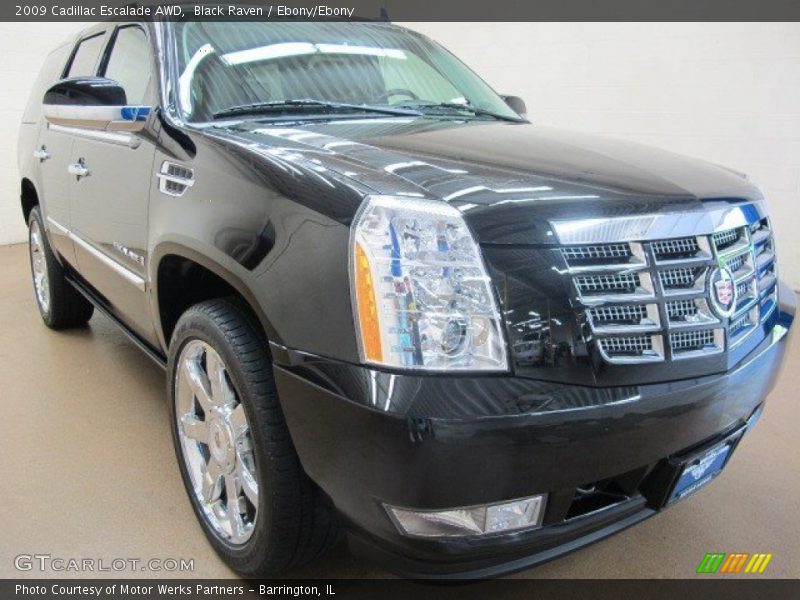 Black Raven / Ebony/Ebony 2009 Cadillac Escalade AWD