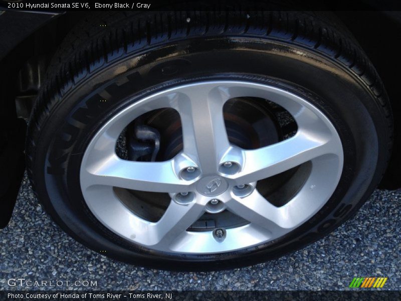 Ebony Black / Gray 2010 Hyundai Sonata SE V6