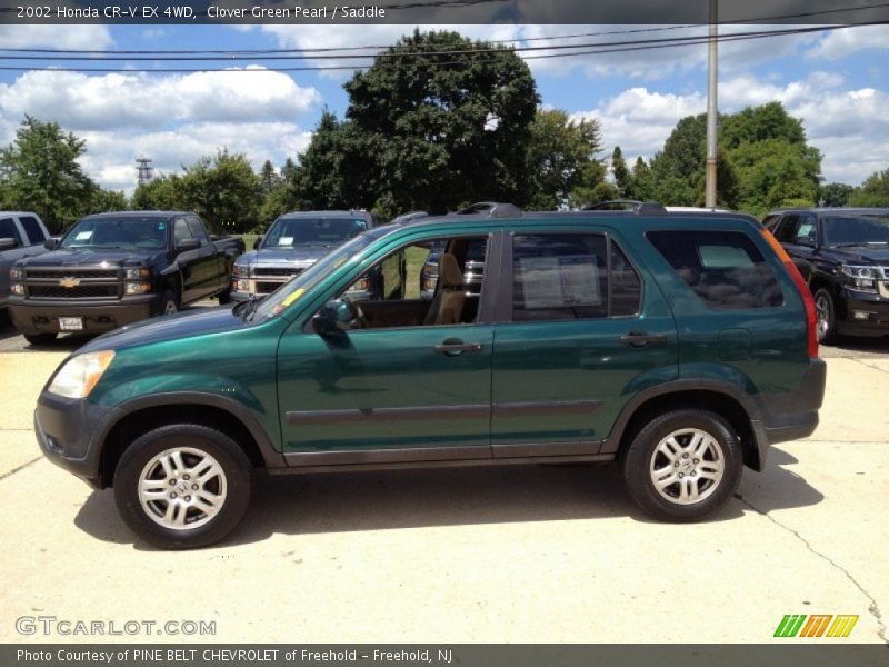 Clover Green Pearl / Saddle 2002 Honda CR-V EX 4WD