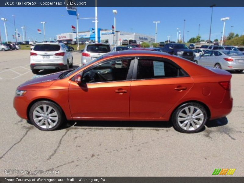 Copperhead / Black Sport 2010 Kia Forte SX