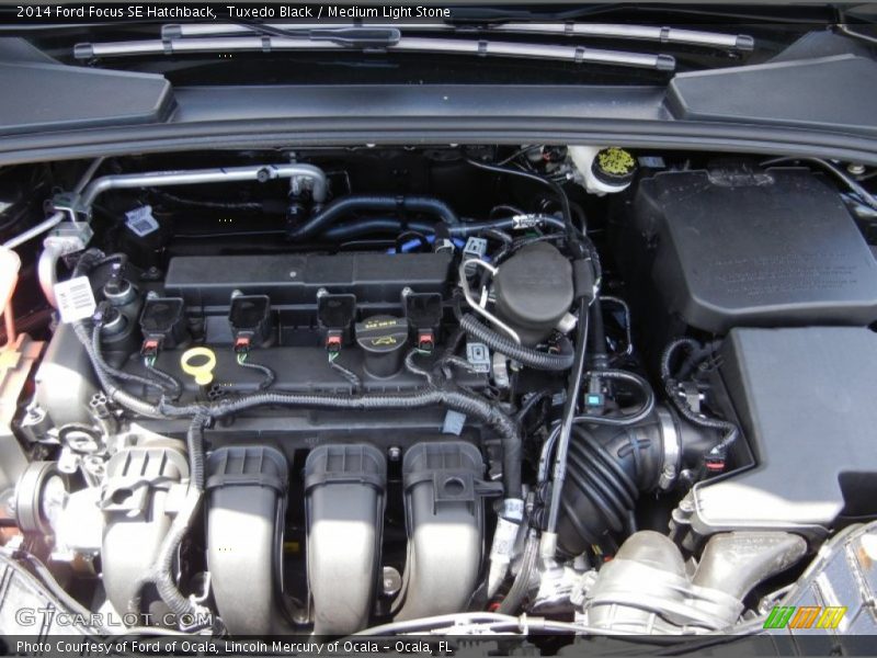 Tuxedo Black / Medium Light Stone 2014 Ford Focus SE Hatchback