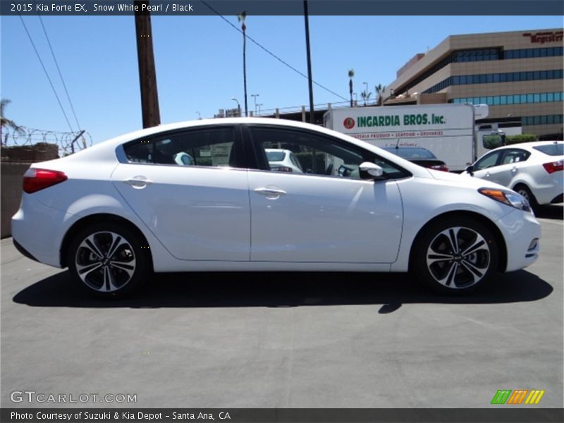 Snow White Pearl / Black 2015 Kia Forte EX