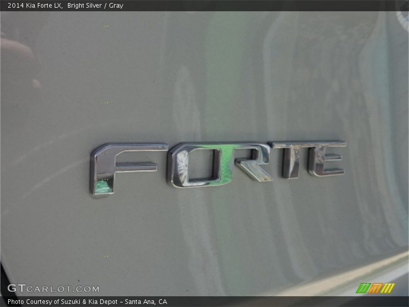 Bright Silver / Gray 2014 Kia Forte LX