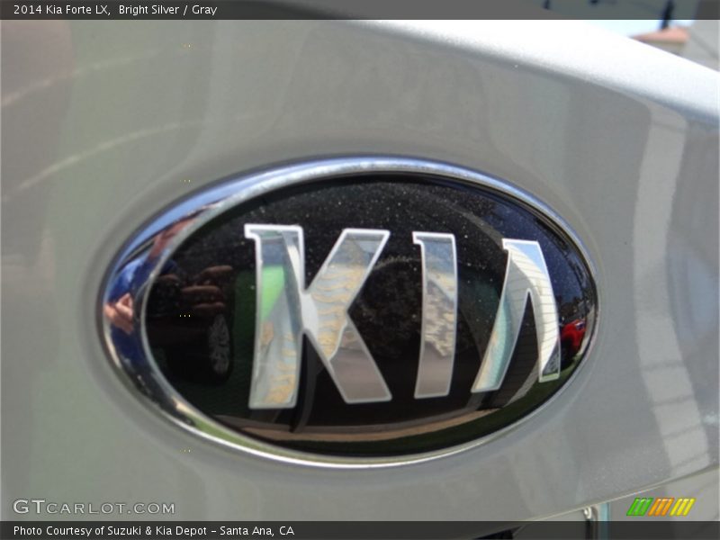 Bright Silver / Gray 2014 Kia Forte LX
