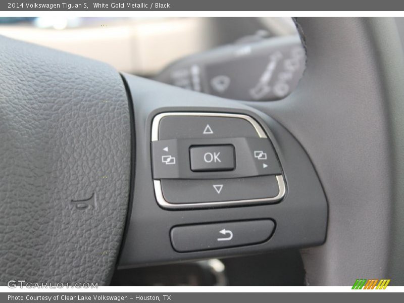 White Gold Metallic / Black 2014 Volkswagen Tiguan S