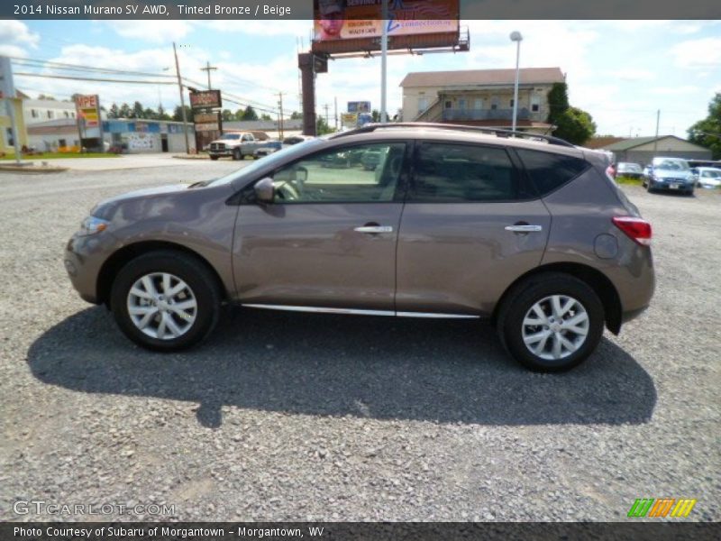 Tinted Bronze / Beige 2014 Nissan Murano SV AWD