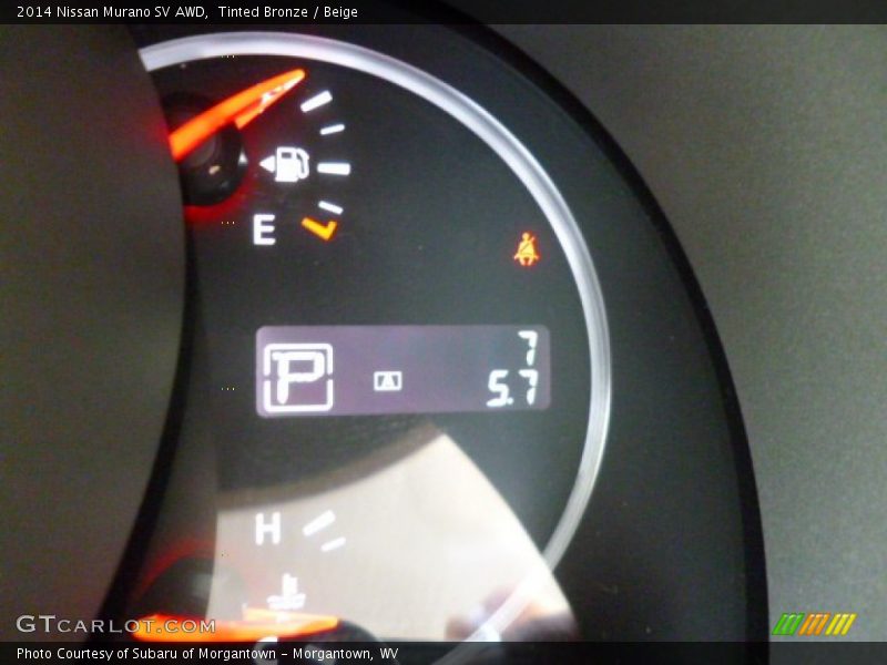 Tinted Bronze / Beige 2014 Nissan Murano SV AWD