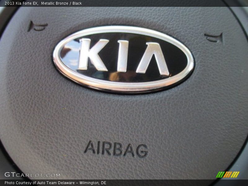 Metallic Bronze / Black 2013 Kia Forte EX