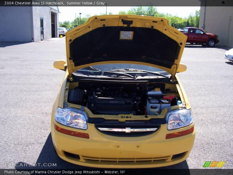 Summer Yellow / Gray 2004 Chevrolet Aveo LS Hatchback