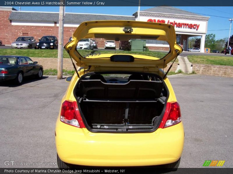 Summer Yellow / Gray 2004 Chevrolet Aveo LS Hatchback