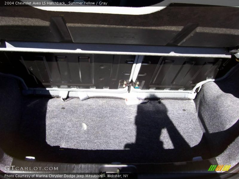 Summer Yellow / Gray 2004 Chevrolet Aveo LS Hatchback