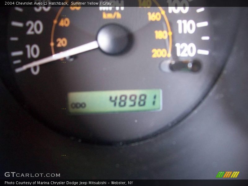 Summer Yellow / Gray 2004 Chevrolet Aveo LS Hatchback