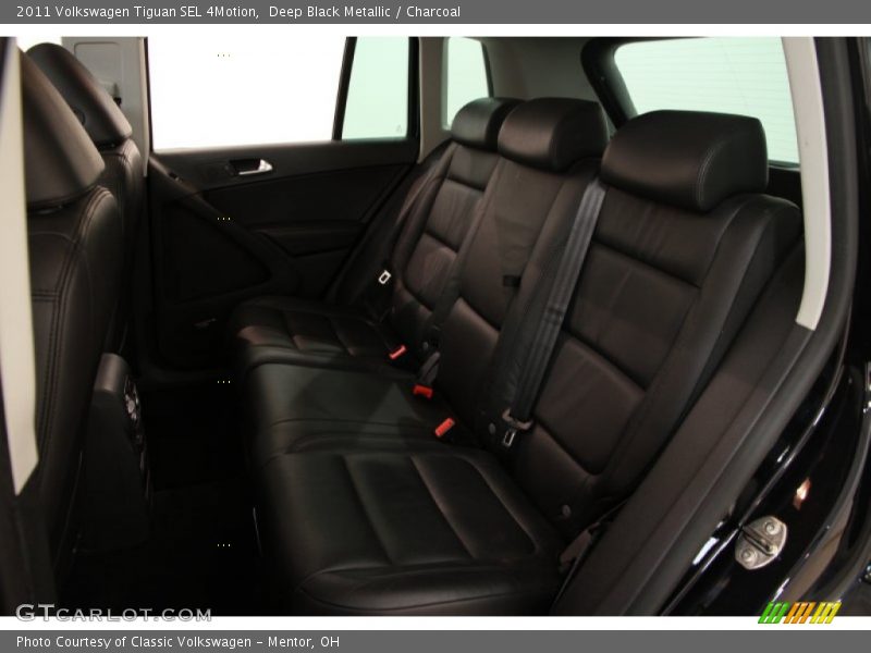 Rear Seat of 2011 Tiguan SEL 4Motion