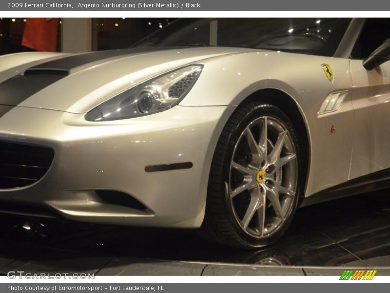 Argento Nurburgring (Silver Metallic) / Black 2009 Ferrari California