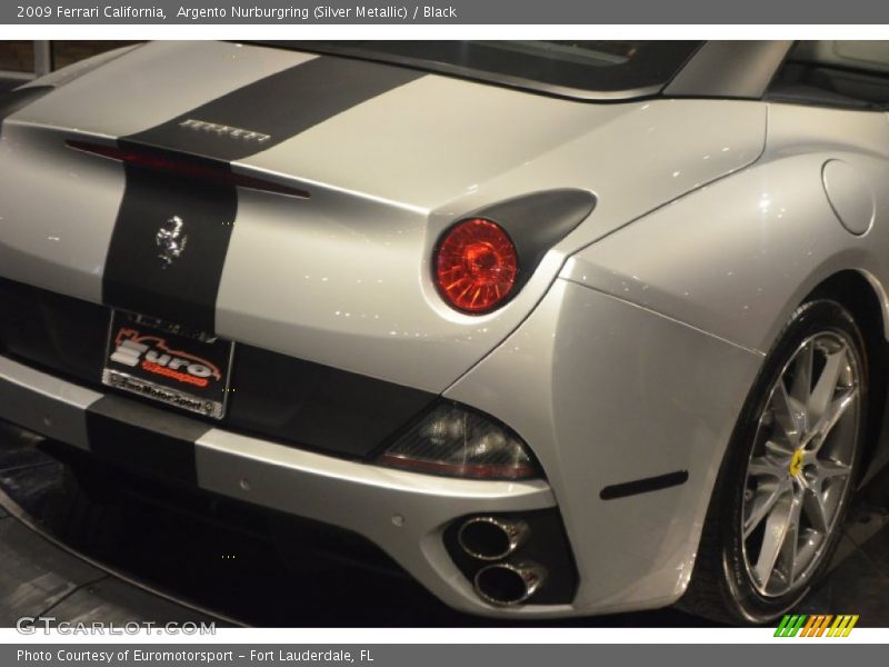 Argento Nurburgring (Silver Metallic) / Black 2009 Ferrari California