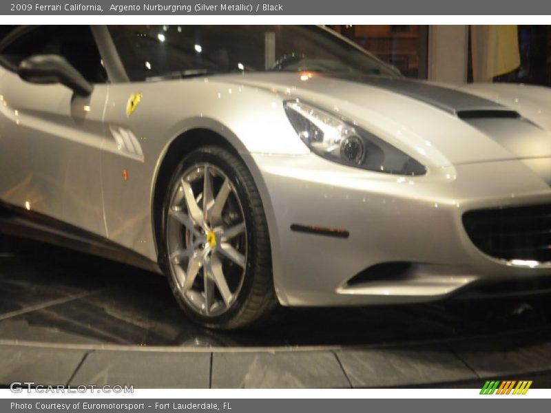 Argento Nurburgring (Silver Metallic) / Black 2009 Ferrari California