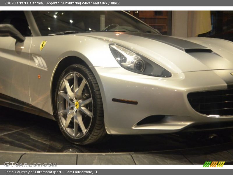 Argento Nurburgring (Silver Metallic) / Black 2009 Ferrari California