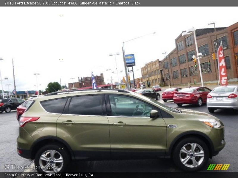 Ginger Ale Metallic / Charcoal Black 2013 Ford Escape SE 2.0L EcoBoost 4WD