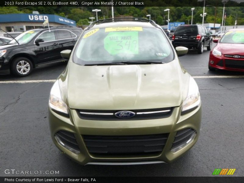 Ginger Ale Metallic / Charcoal Black 2013 Ford Escape SE 2.0L EcoBoost 4WD