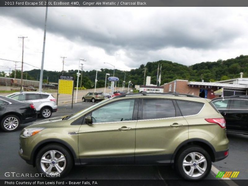 Ginger Ale Metallic / Charcoal Black 2013 Ford Escape SE 2.0L EcoBoost 4WD