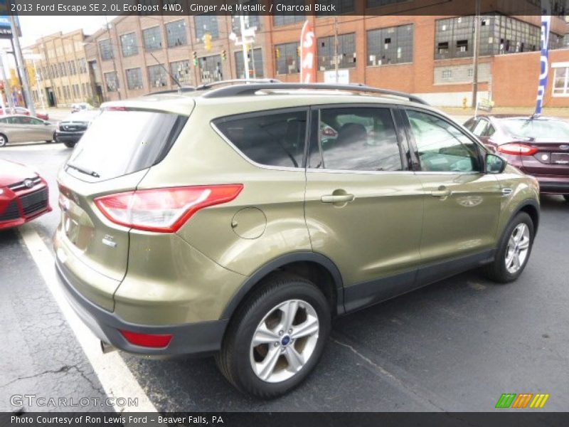 Ginger Ale Metallic / Charcoal Black 2013 Ford Escape SE 2.0L EcoBoost 4WD