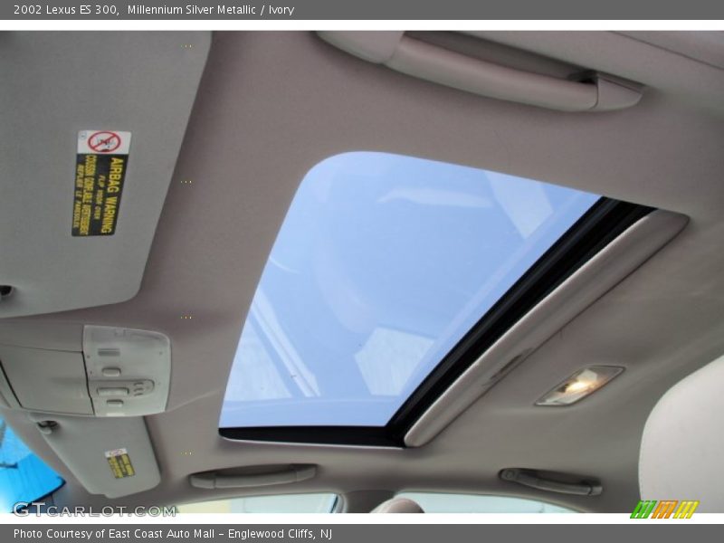Millennium Silver Metallic / Ivory 2002 Lexus ES 300