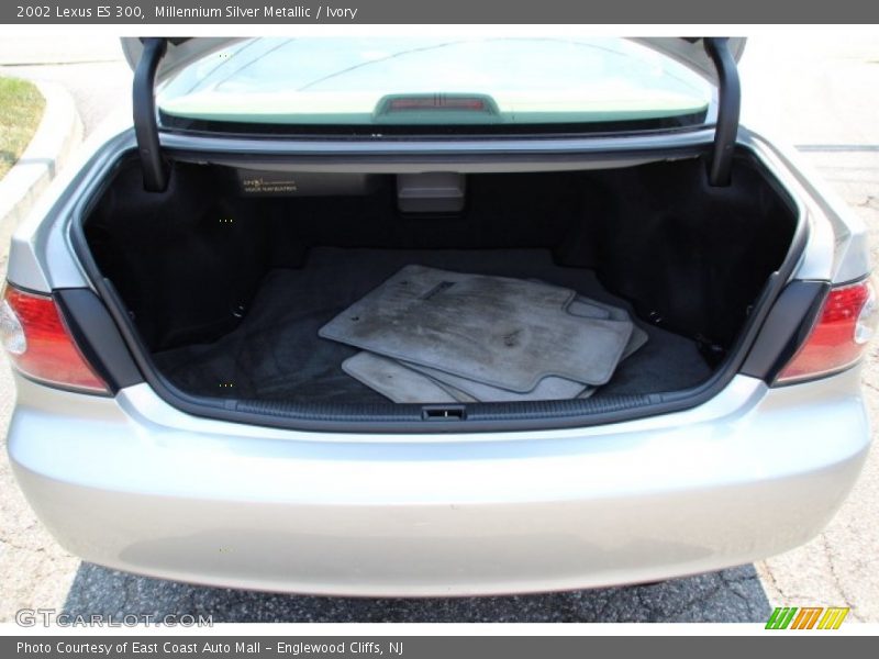Millennium Silver Metallic / Ivory 2002 Lexus ES 300