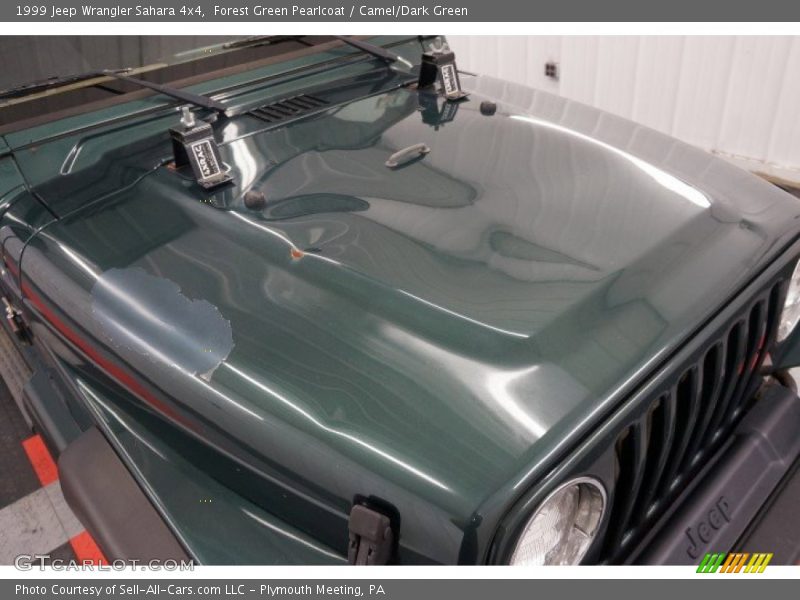 Forest Green Pearlcoat / Camel/Dark Green 1999 Jeep Wrangler Sahara 4x4