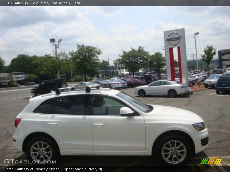 Ibis White / Black 2010 Audi Q5 3.2 quattro