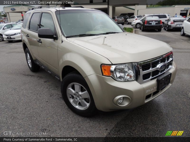 Gold Leaf Metallic / Camel 2011 Ford Escape XLT