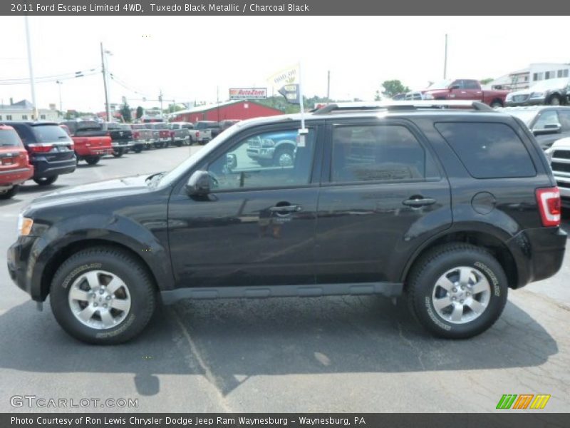 Tuxedo Black Metallic / Charcoal Black 2011 Ford Escape Limited 4WD