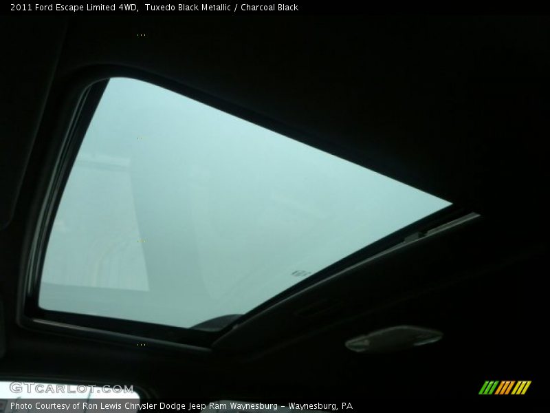 Tuxedo Black Metallic / Charcoal Black 2011 Ford Escape Limited 4WD