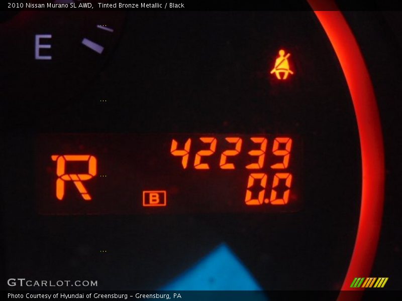 Tinted Bronze Metallic / Black 2010 Nissan Murano SL AWD