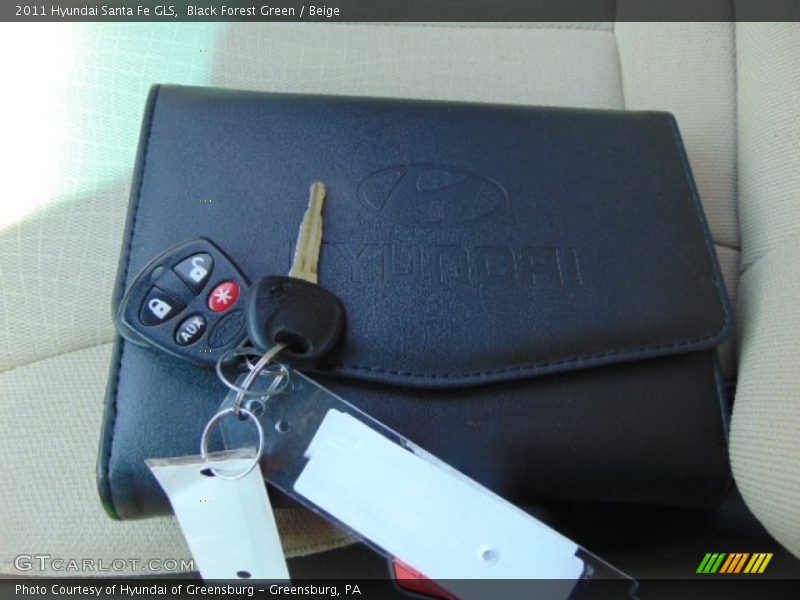Black Forest Green / Beige 2011 Hyundai Santa Fe GLS