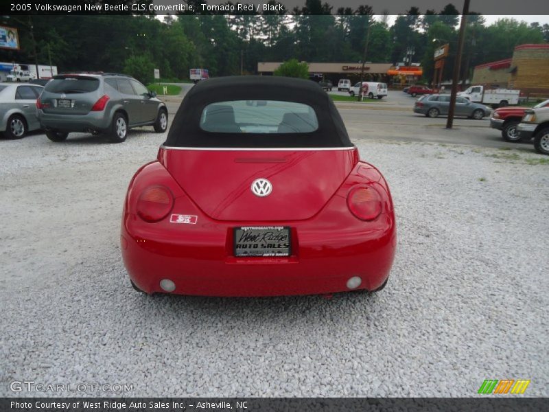 Tornado Red / Black 2005 Volkswagen New Beetle GLS Convertible