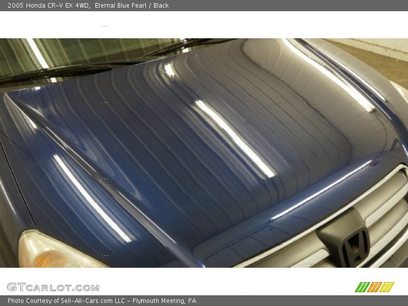 Eternal Blue Pearl / Black 2005 Honda CR-V EX 4WD