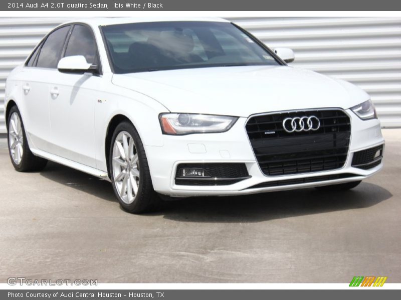 Ibis White / Black 2014 Audi A4 2.0T quattro Sedan
