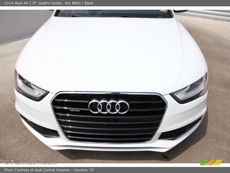 Ibis White / Black 2014 Audi A4 2.0T quattro Sedan
