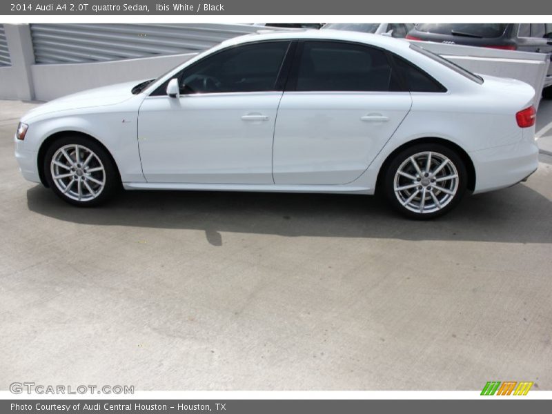 Ibis White / Black 2014 Audi A4 2.0T quattro Sedan