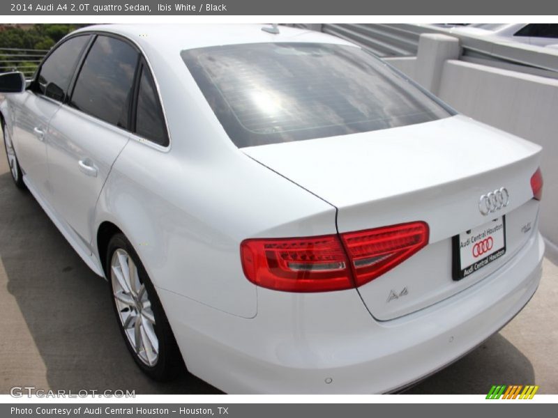Ibis White / Black 2014 Audi A4 2.0T quattro Sedan