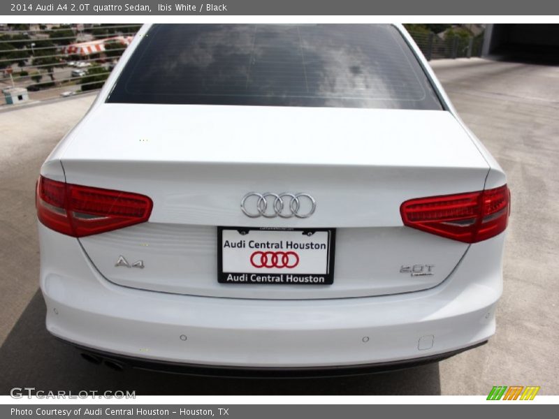 Ibis White / Black 2014 Audi A4 2.0T quattro Sedan