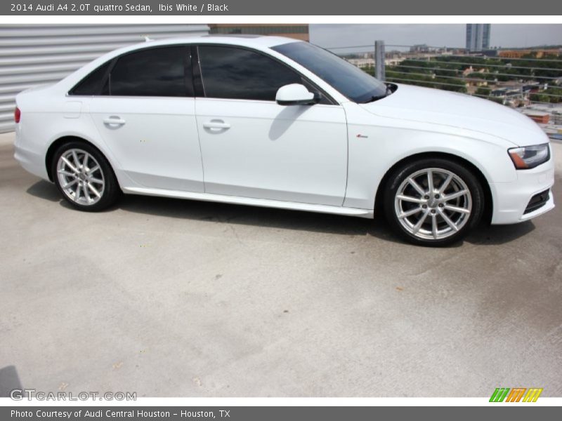 Ibis White / Black 2014 Audi A4 2.0T quattro Sedan