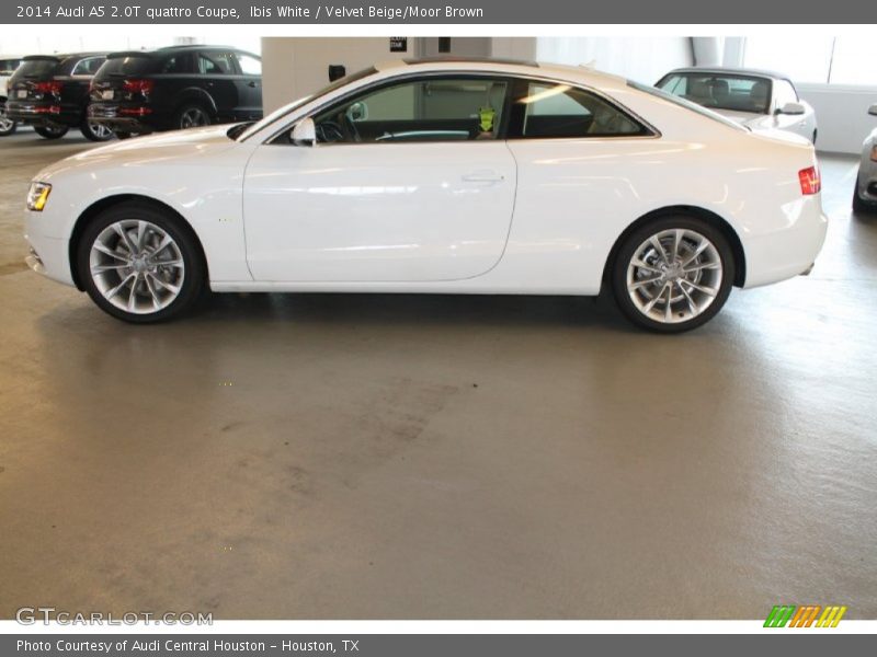 Ibis White / Velvet Beige/Moor Brown 2014 Audi A5 2.0T quattro Coupe